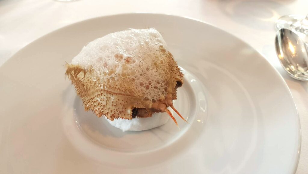 毛ガニのリゾット